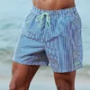 Buffalo Striped Swimming Shorts