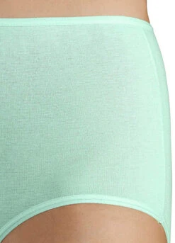 Petite Fleur Pack Of 5 High Waist Briefs -Modish Dress Up Petite Fleur Pack of 5 High Waist Briefs391323FRSP W03