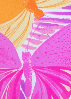 Sunseeker Butterfly Print Bikini Bottoms -Modish Dress Up Sunseeker Butterfly Print Bikini Bottoms14417462FRSC W02